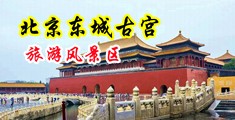 欧美肥穴美女视频中国北京-东城古宫旅游风景区
